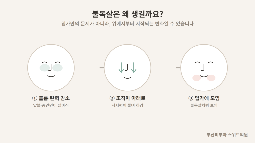 불독살이 생기는 3단계 원인