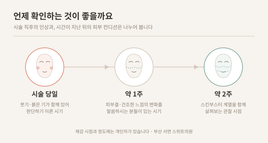 리투오 효과 시술 당일 1주 2주 관찰 시점 개념도