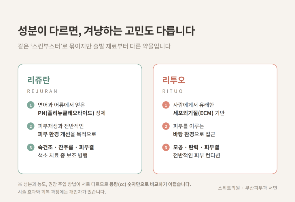 리쥬란 PN 성분과 리투오 ECM 성분 차이 비교 도식