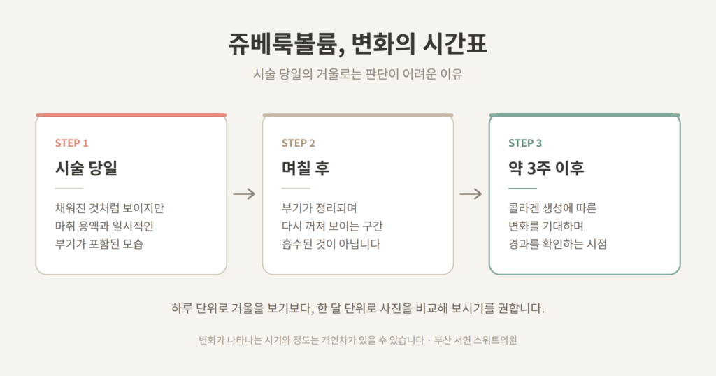 쥬베룩볼륨 시술 당일 며칠 후 3주 이후 변화 단계 도식