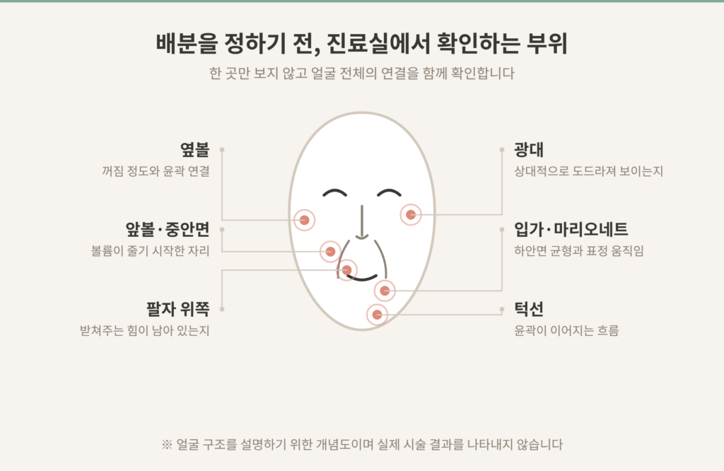 부산레디어스 상담에서 확인하는 앞볼 중안면 옆볼 팔자 입가 턱선 부위 개념도
