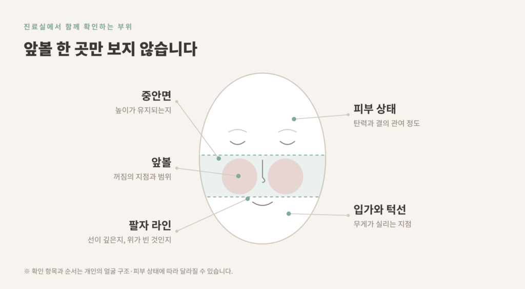 앞볼 중안면 팔자 입가 턱선 진료실 확인 부위 도식