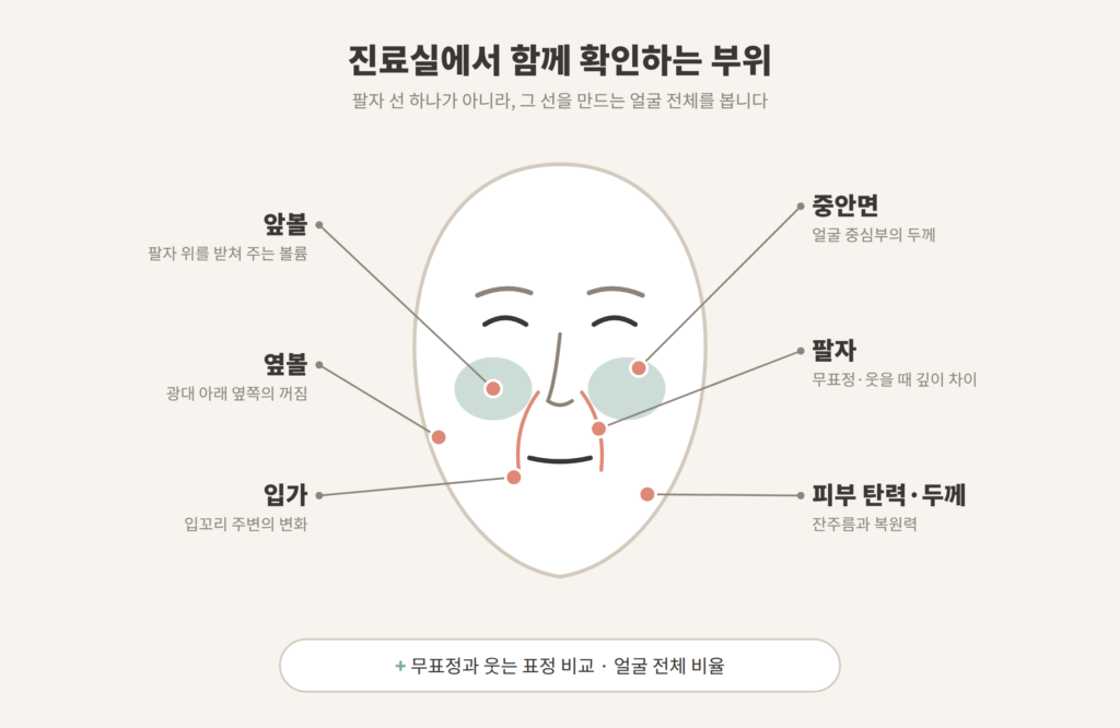 팔자주름 진료실 확인 부위 앞볼 옆볼 중안면 입가 개념도