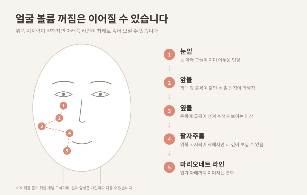 얼굴 볼륨 꺼짐 연결 흐름 눈밑 앞볼 옆볼 팔자주름 마리오네트 라인