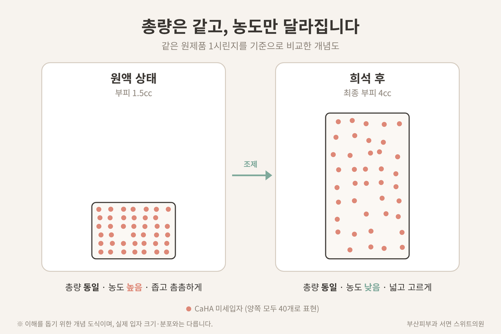 레디어스 희석 전후 CaHA 총량과 농도 비교 개념도