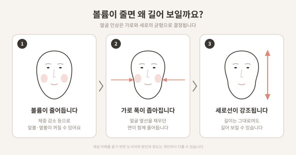 앞볼 옆볼 볼륨 감소로 세로선이 강조되는 과정 도식