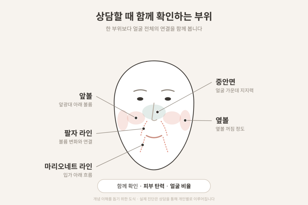 얼굴 볼륨 꺼짐 상담 시 확인하는 앞볼 옆볼 중안면 부위