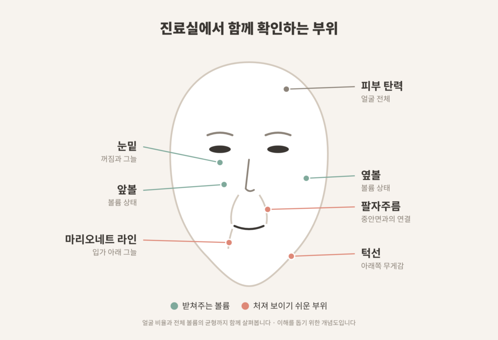 얼굴 처짐 상담 시 확인하는 눈밑 앞볼 옆볼 팔자주름 턱선 부위