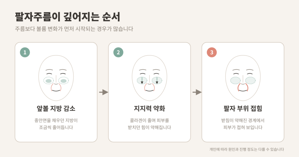 팔자주름 원인 앞볼 지방 감소에서 팔자 접힘까지 3단계 개념도